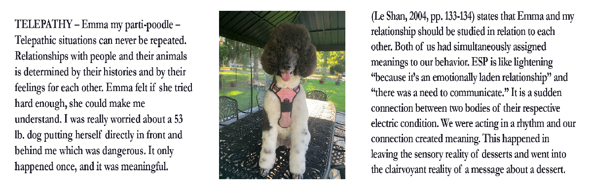 Karen and her parti-poodle Emma